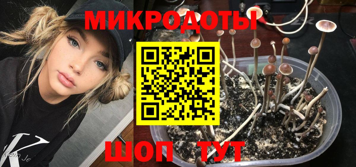 Галлюциногенные грибы Psilocybine cubensis  закладка  Ялта  Вход с VPN 